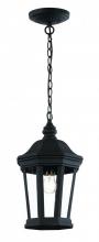  40405 BK - Westfield Hexagon Shaped, Clear Glass Outdoor Pendant Light with Chain